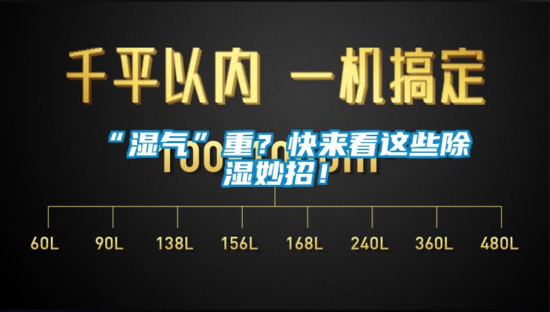 “濕氣”重？快來看這些除濕妙招！