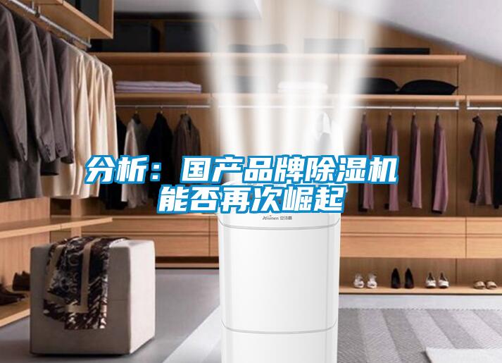 分析:國(guó)產(chǎn)品牌除濕機(jī) 能否再次崛起