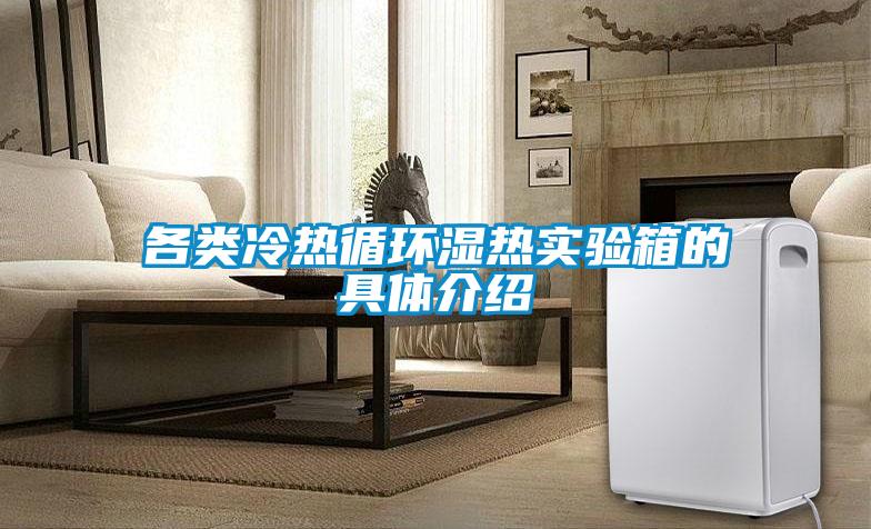 各類冷熱循環(huán)濕熱實驗箱的具體介紹