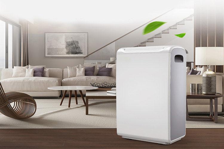 城中村必備家電？宜盾普 YL–2G10EC除濕機