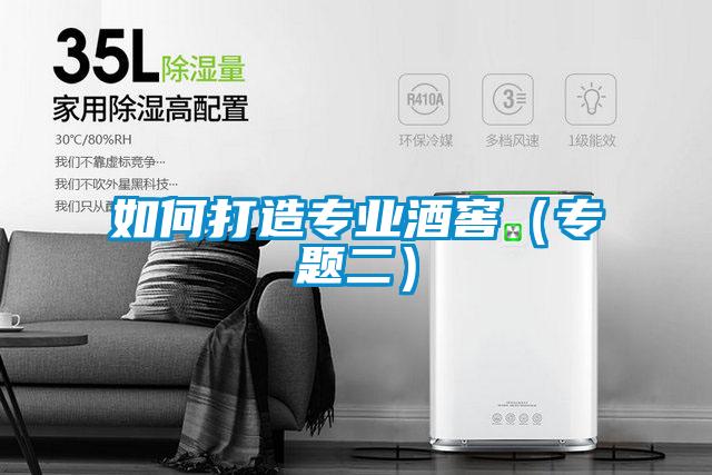 如何打造專業酒窖(專題二)