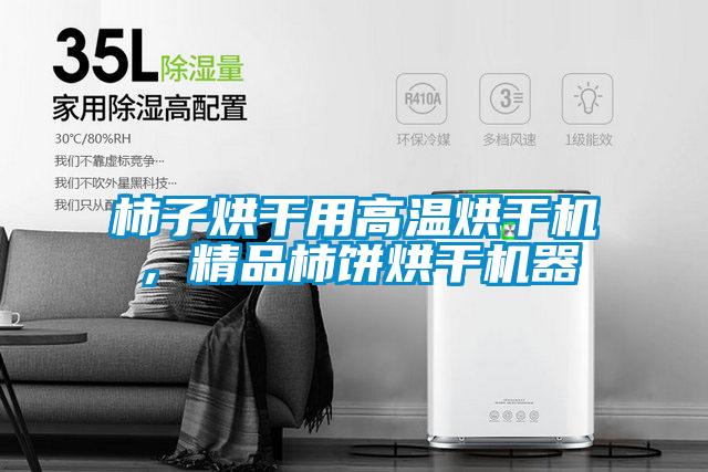 柿子烘干用高溫烘干機,精品柿餅烘干機器