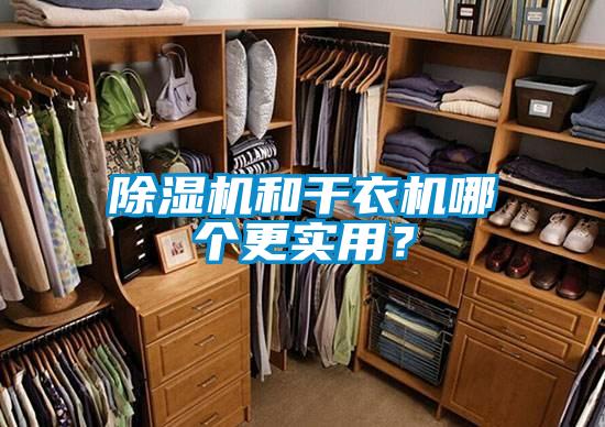 除濕機(jī)和干衣機(jī)哪個(gè)更實(shí)用？