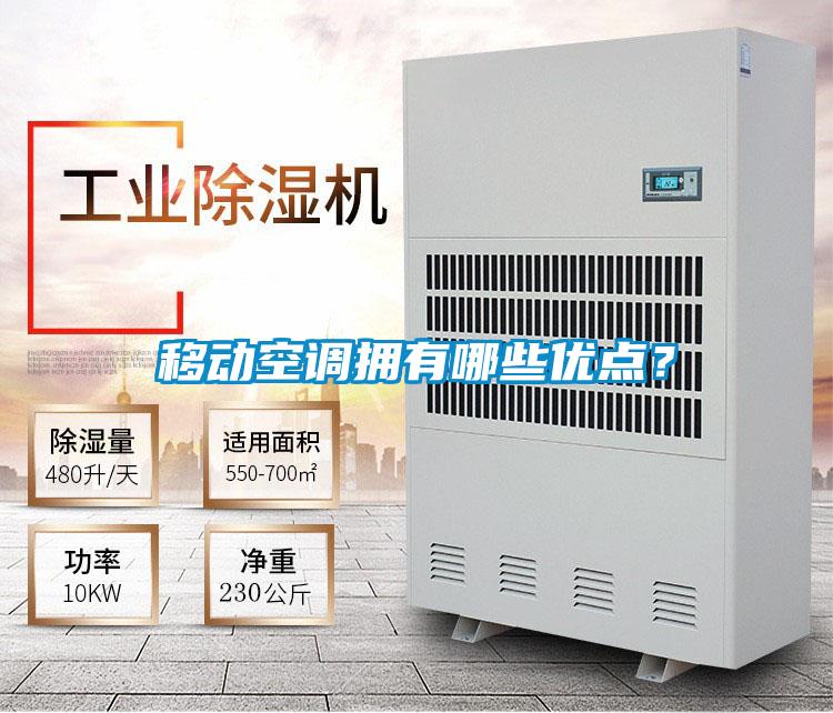 移動(dòng)空調(diào)擁有哪些優(yōu)點(diǎn)?
