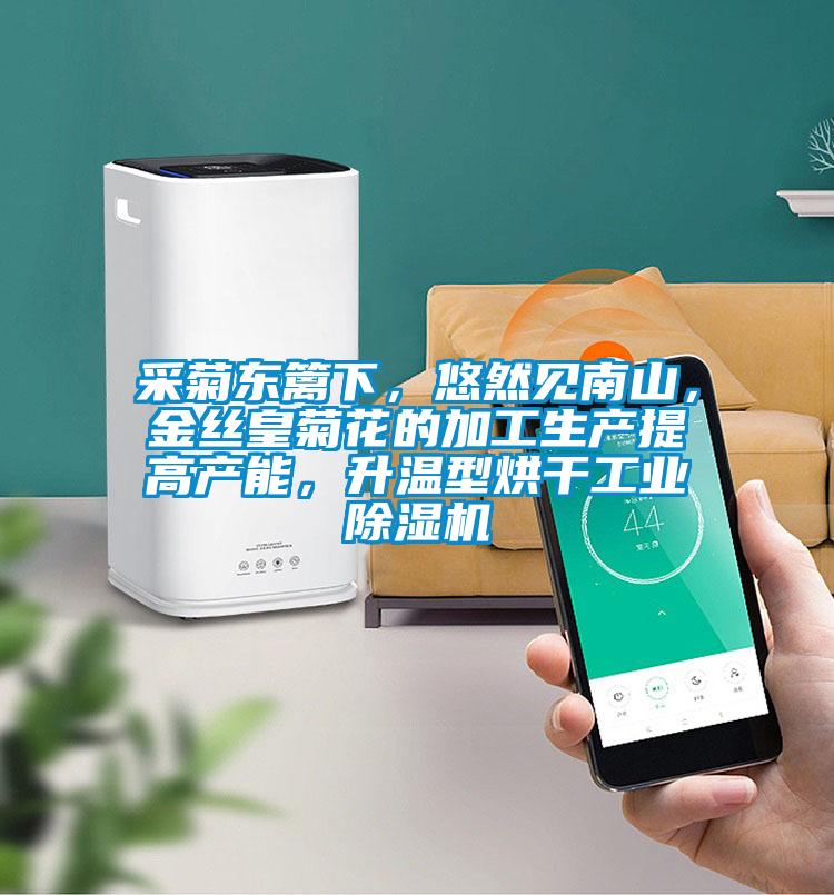 采菊東籬下，悠然見南山，金絲皇菊花的加工生產提高產能，升溫型烘干工業除濕機