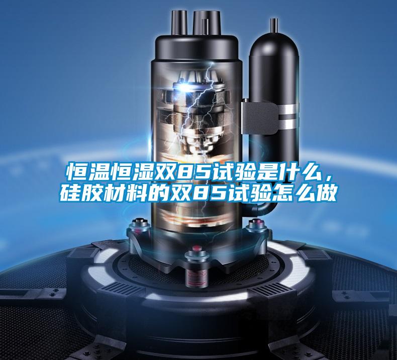 恒溫恒濕雙85試驗是什么，硅膠材料的雙85試驗怎么做