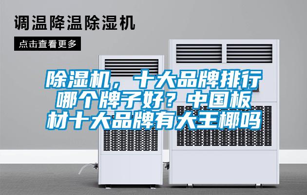 除濕機，十大品牌排行哪個牌子好？中國板材十大品牌有大王椰嗎