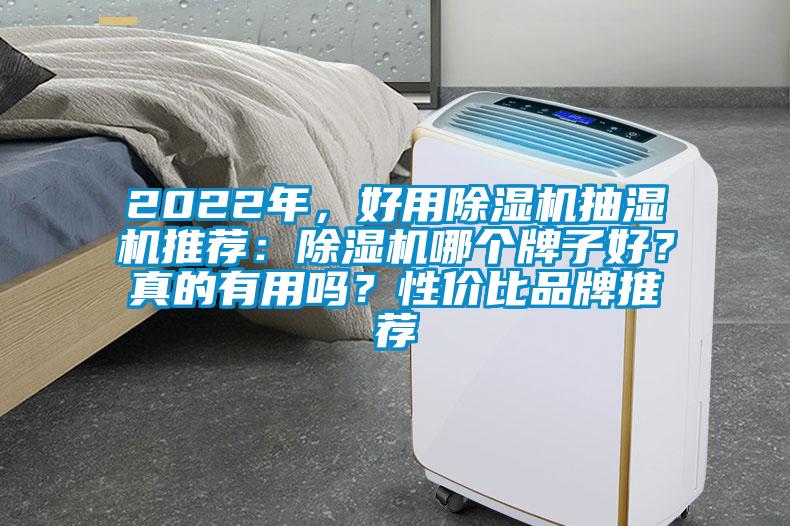 2022年,好用除濕機抽濕機推薦:除濕機哪個牌子好?真的有用嗎?性價比品牌推薦