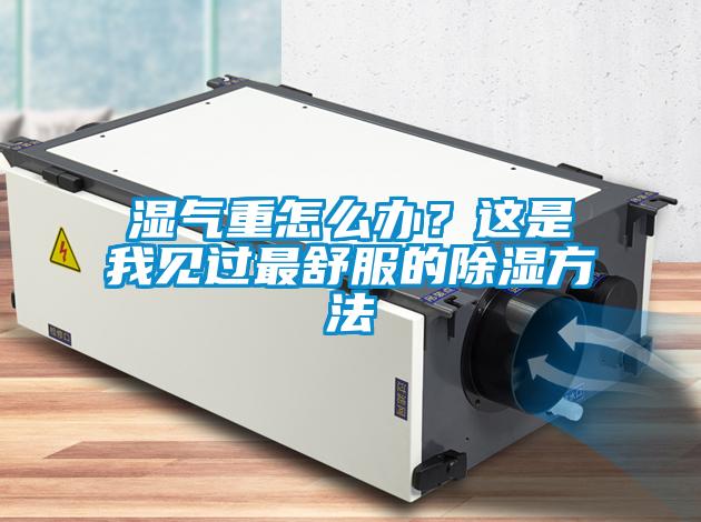 濕氣重怎么辦?這是我見(jiàn)過(guò)最舒服的除濕方法