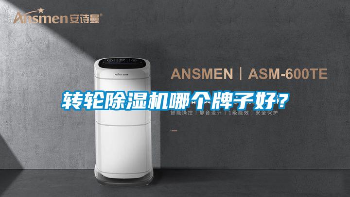 轉輪除濕機哪個牌子好？