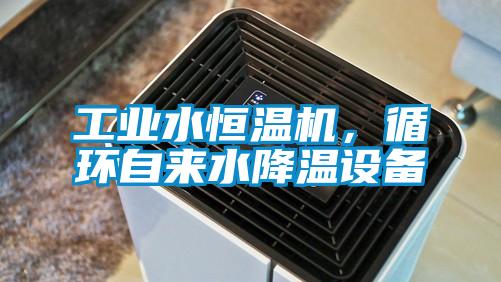 工業(yè)水恒溫機,循環(huán)自來水降溫設備