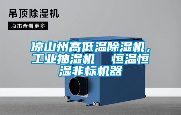 涼山州高低溫除濕機,工業(yè)抽濕機 恒溫恒濕非標(biāo)機器