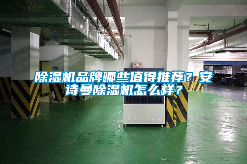 除濕機(jī)品牌哪些值得推薦?安詩曼除濕機(jī)怎么樣?