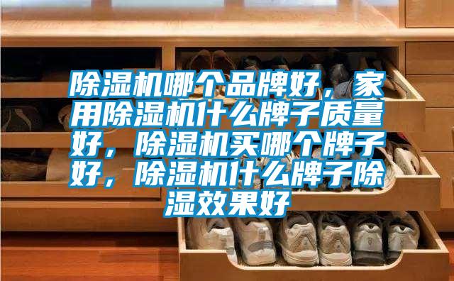 除濕機哪個品牌好，家用除濕機什么牌子質量好，除濕機買哪個牌子好，除濕機什么牌子除濕效果好