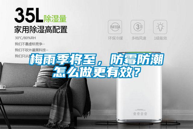 梅雨季將至，防霉防潮怎么做更有效？