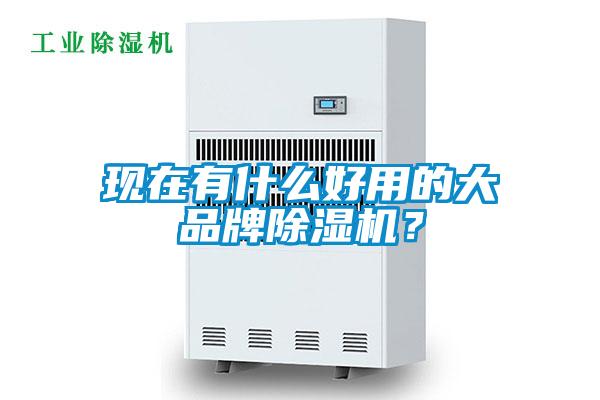 現(xiàn)在有什么好用的大品牌除濕機(jī)?