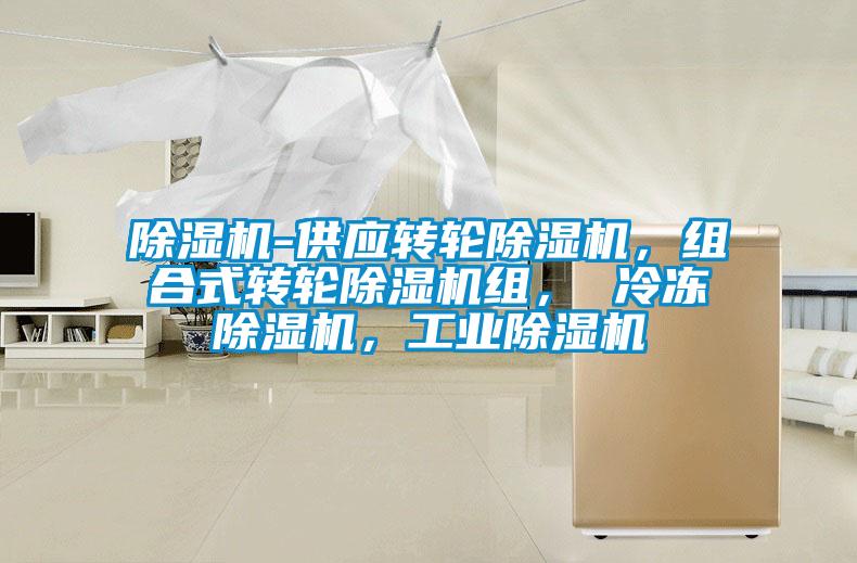 除濕機-供應轉輪除濕機，組合式轉輪除濕機組， 冷凍除濕機，工業除濕機