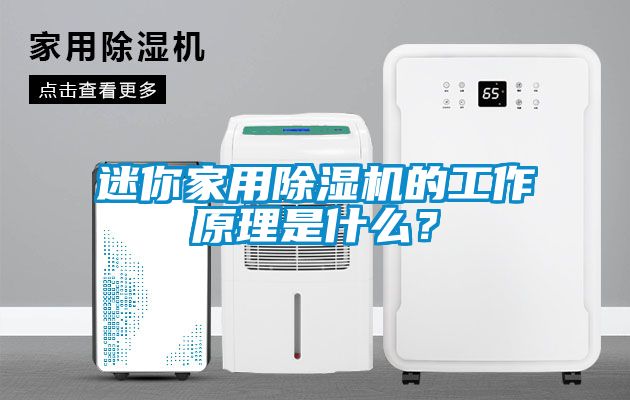 迷你家用除濕機的工作原理是什么？