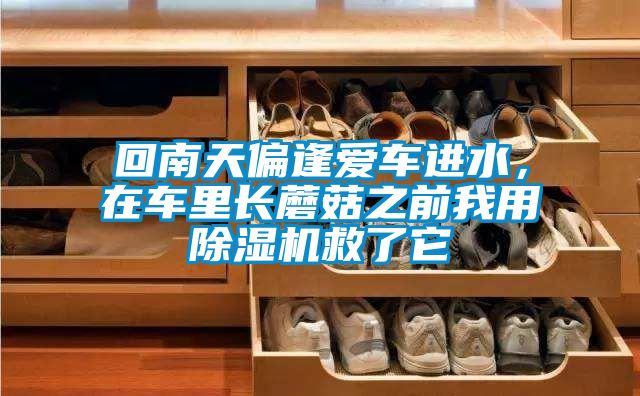 回南天偏逢愛(ài)車進(jìn)水，在車?yán)镩L(zhǎng)蘑菇之前我用除濕機(jī)救了它