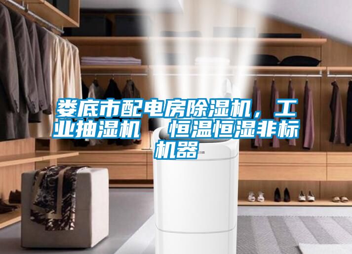婁底市配電房除濕機，工業抽濕機  恒溫恒濕非標機器