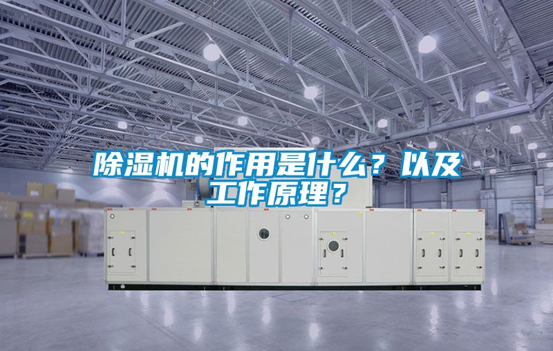 除濕機的作用是什么?以及工作原理?