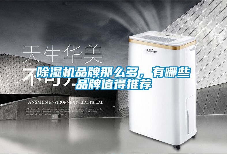 除濕機品牌那么多,有哪些品牌值得推薦