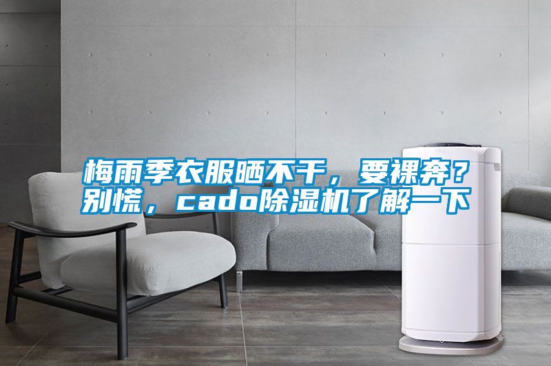 梅雨季衣服曬不干，要裸奔？別慌，cado除濕機了解一下