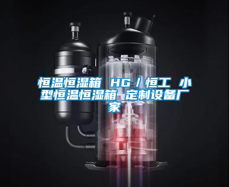 恒溫恒濕箱 HG/恒工 小型恒溫恒濕箱 定制設(shè)備廠家