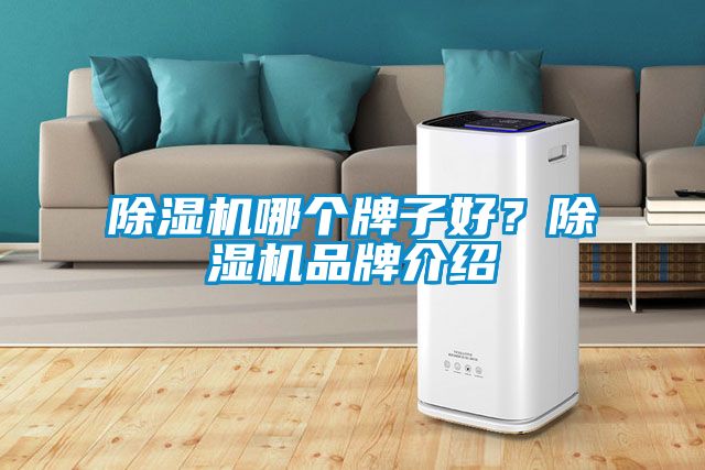 除濕機哪個牌子好？除濕機品牌介紹