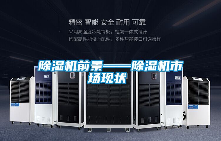 除濕機前景——除濕機市場現(xiàn)狀